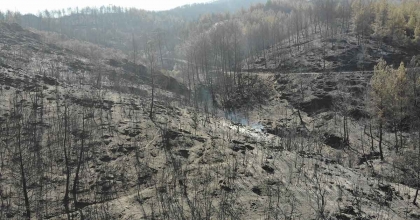 ALEVLERDEN GERİYE KARASI KALDI  