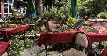 ASIRLIK ÇINAR AĞACI FACİAYA YOL AÇIYORDU: KIYAMET KOPUYOR SANDIK