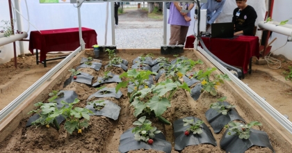 MUĞLA'DA İKİ PROJE FAYDALI MODEL OLARAK TESCİLLENDİ