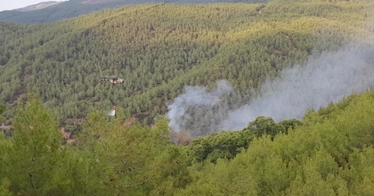 ÇİNE'DEKİ ORMAN YANGINI KONTROL ALTINA ALINDI   