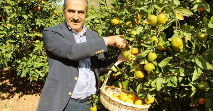 EGE’NİN NARENCİYE DEPOSU ‘MUĞLA’