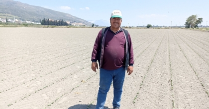 SÖKE OVASI’NDA SUSUZLUK SIKINTISI HAD SAFHAYA ULAŞTI