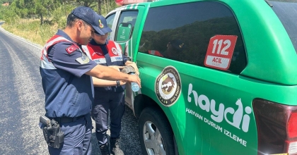 JANDARMA SICAKTAN ETKİLENEN KAPLUMBAĞAYA SU İÇİRDİ   