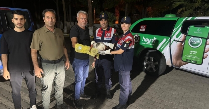 ORMAN YANGININDA YARALANAN LEYLEK EMİN ELLERDE