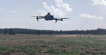 BULDAN BALI MERCEK ALTINA ALINDI