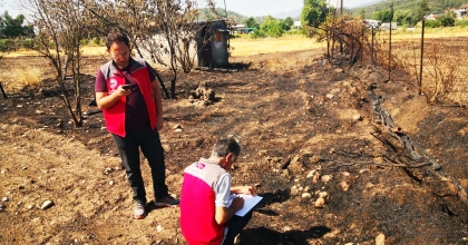 MUĞLALI TARIMSAL ÜRETİCİLERE 30 MİLYON TL TAZMİNAT ÖDENDİ