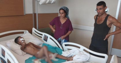 BİR KÖPEK FACİASI DAHA