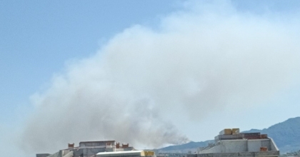 AYDIN’DA ORMAN YANGINI