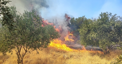 AYDIN’DAKİ YANGIN YERLEŞİM YERLERİNE SIÇRADI