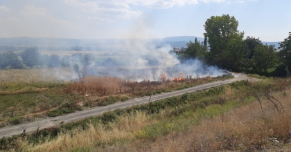 OTLUK ALANDA ÇIKAN YANGIN KORKUTTU  