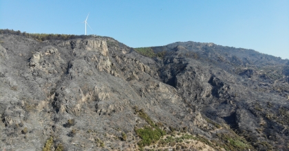 YANGIN SONRASI ACI TABLO GÜN AĞARINCA ORTAYA ÇIKTI