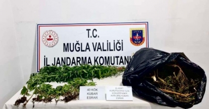 SEYDİKEMER'DE UYUŞTURUCU MADDE VE KENEVİR ELE GEÇİRİLDİ  