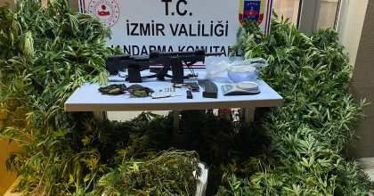 ZEYTİNLİK ALANINI UYUŞTURUCU TARLASINA ÇEVİREN ZANLI YAKALANDI