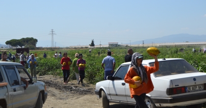 ÜRETİCİ KAVUN VE KARPUZU ÜCRETSİZ DAĞITTI, DUYAN TARLAYA AKIN ETTİ