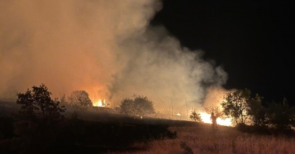 MANİSA'DA MAKİLİK YANGINI: 35 DÖNÜM ALAN ZARAR GÖRDÜ