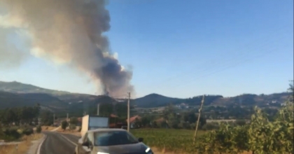 BOZDOĞAN'DAKİ ORMAN YANGINI İÇİN SINIRDA ÖNLEM ALINDI