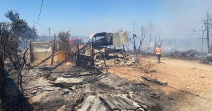 YANGINDA AHIR ZARAR GÖRDÜ, HAYVANLAR TELEF OLDU