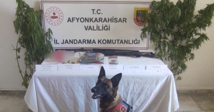 EVİNİN BAHÇESİNE KENEVİR EKTİ JANDARMA YAKALADI
