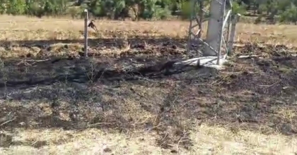 KUŞUN SEBEP OLDUĞU YANGIN SÖNDÜRÜLDÜ   