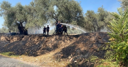 ALEVLERİN ANTİK KENTE ULAŞMASINI HIZLI MÜDAHALE ÖNLEDİ  