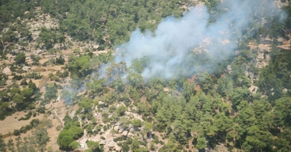 YATAĞAN'DA ORMAN YANGINI  