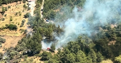İzmir'de ormanlık alanda yangın  