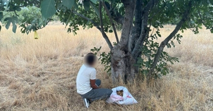 İNCİR HIRSIZI SUÇÜSTÜ YAKALANDI  