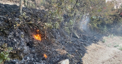 ORMANLIK ALANA SIÇRAMADAN SÖNDÜRÜLDÜ