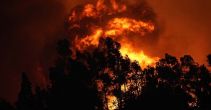 BAKAN YUMAKLI YANGINLARIN NEDENİNİ AÇIKLADI