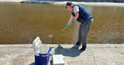 BAKANLIK, İZMİR KÖRFEZİ'NDEKİ BALIK ÖLÜMLERİ İÇİN BÖLGEDEN NUMUNE ALDI