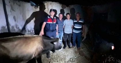 DENİZLİ'DEN KAYBOLAN HAYVANLAR AYDIN'DA BULUNDU  