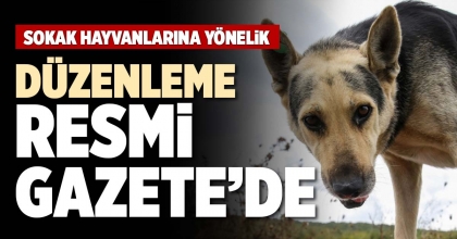 DÜZENLEMELER RESMİ GAZETE'DE