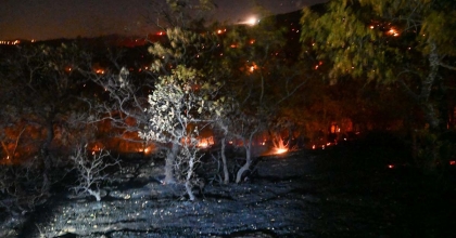 EŞME'DE İKİ FARKLI NOKTADA YANGIN ÇIKTI