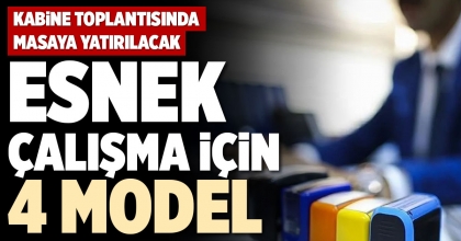 ESNEK ÇALIŞMA İÇİN 4 MODEL