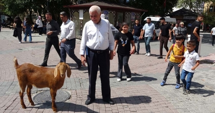 EVLADI GİBİ SEVDİĞİ KEÇİYİ YANINDAN AYIRMIYOR