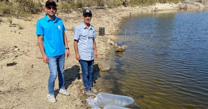 GÖZKAYASI GÖLETİ'NE SAZAN YAVRULARI BIRAKILDI  