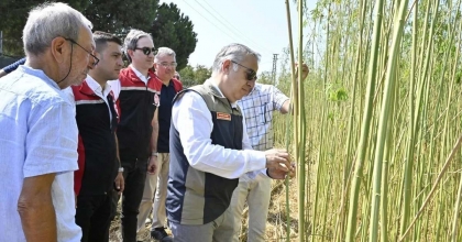 İZİNLİ VE KONTROLLÜ KENEVİR HASADI GERÇEKLEŞTİRİLDİ  