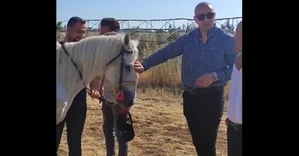 KALE'DE AT ÇİFTLİĞİ KURULDU