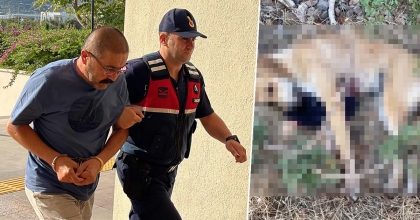 KÖPEK VURDUĞU İDDİA EDİLEN ŞAHIS SERBEST BIRAKILDI