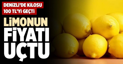 LİMONUN FİYATI UÇTU