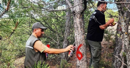 ORMANLAR GÖZLEMLENİYOR  