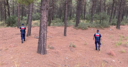 ORMANLIK ALANLARA GİREN 31 KİŞİ CEZADAN KAÇAMADI  