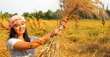 SEFERİHİSAR’IN KARAKILÇIK BUĞDAYI TESCİLLENDİ  