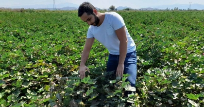 SÖKE'DE DİKENLİ KURT POPÜLASYONUNDA ARTIŞ