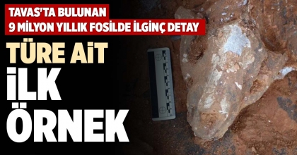 TÜRE AİT İLK ÖRNEK