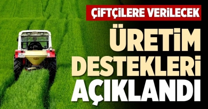 ÜRETİM DESTEKLERİ AÇIKLANDI