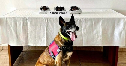 UYUŞTURUCUYU TÜTÜNLE KAPLAMIŞ