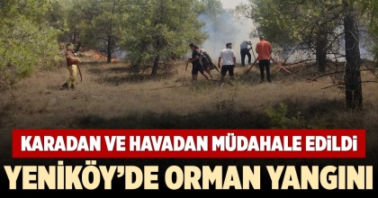 YENİKÖY’DE ORMAN YANGINI