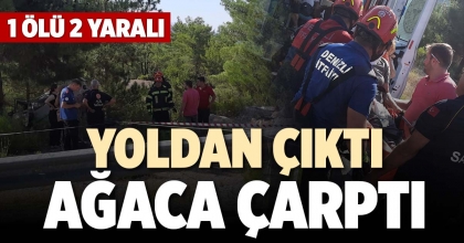 YOLDAN ÇIKTI AĞACA ÇARPTI