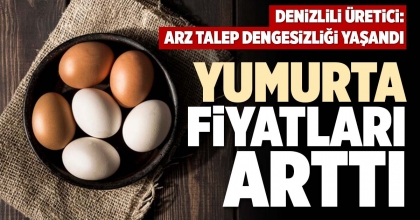 YUMURTA FİYATLARI ARTTI